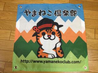 th_130308_03.jpg