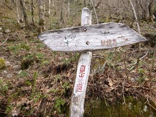 140503_44.jpg