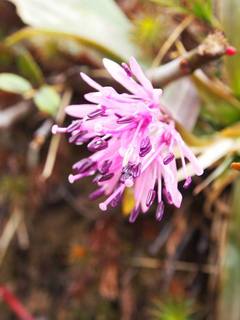 140518-2_05.jpg
