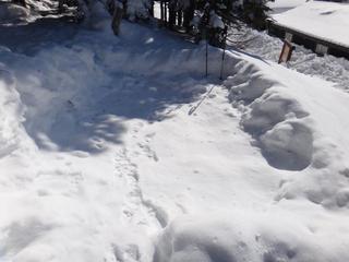 th_130131_10.jpg