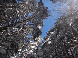 th_130131_43.jpg