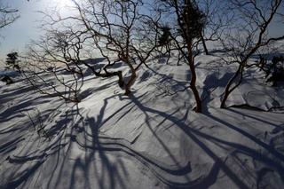 th_130216_24.jpg