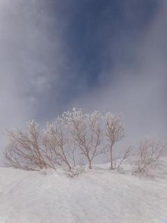 th_130324_11.jpg