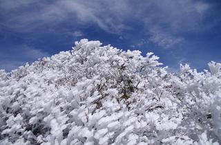 th_130324_19.jpg