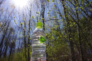th_130428_06.jpg