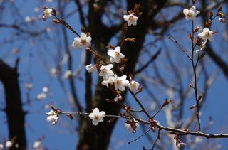 th_130428_08.jpg