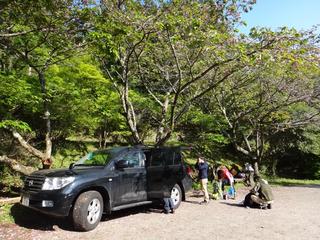 th_130506_01.jpg