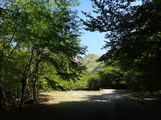 th_130506_06.jpg