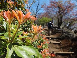 th_130506_11.jpg