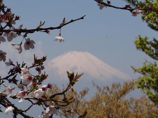 th_130506_12.jpg