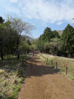 th_130506_22.jpg