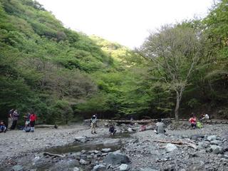 th_130506_25.jpg