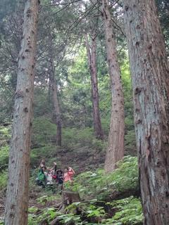 th_130526_05.jpg