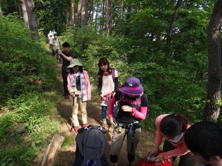 th_130526_11.jpg