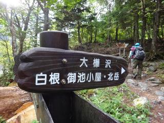 th_130728_10.jpg