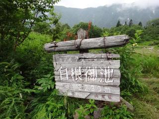 th_130728_15.jpg