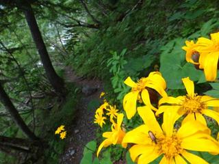th_130728_18.jpg