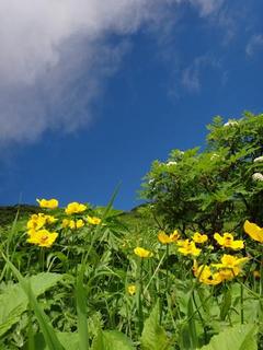th_130728_57.jpg