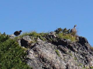 th_130818_14.jpg