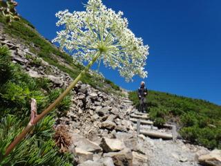 th_130818_18.jpg