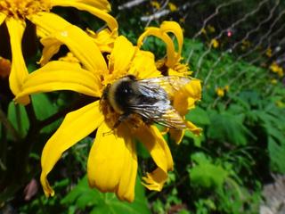 th_130818_22.jpg