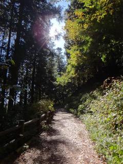 th_131027_03.jpg