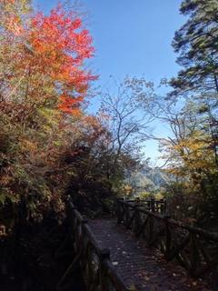 th_131027_06.jpg