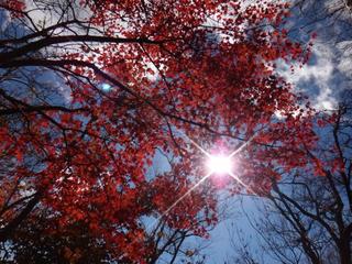 th_131027_14.jpg