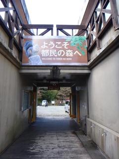 th_131027_17.jpg