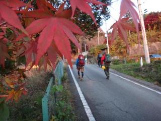 th_131117_03.jpg