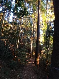 th_131117_06.jpg