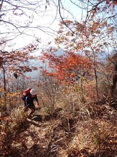 th_131117_15.jpg