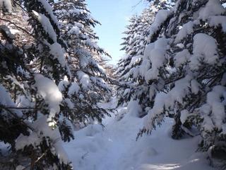 th_140113_20.jpg