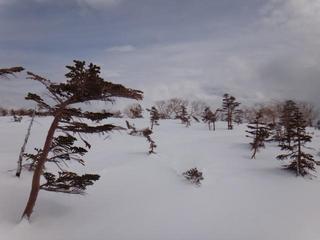th_140301_46.jpg