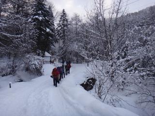th_140308_04.jpg