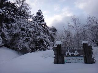 th_140308_06.jpg
