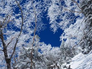 th_140322_20.jpg