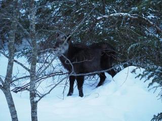 th_140322_57.jpg
