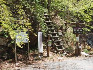 th_140511_04.jpg