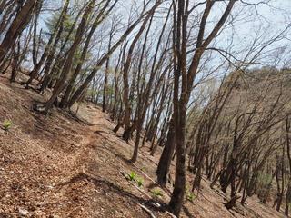 th_140511_06.jpg
