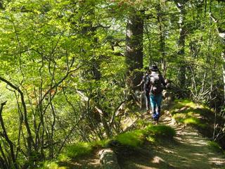 th_140601_54.jpg