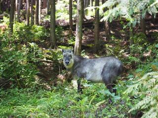th_140615_06.jpg