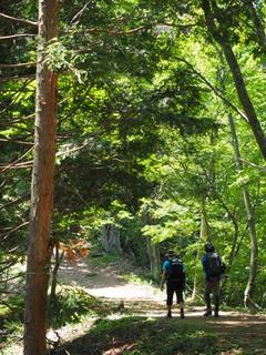 th_140615_14.jpg