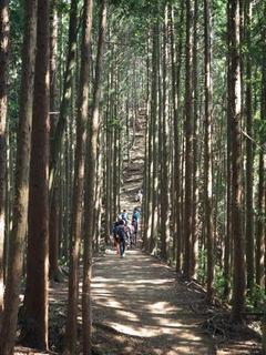th_140615_30.jpg