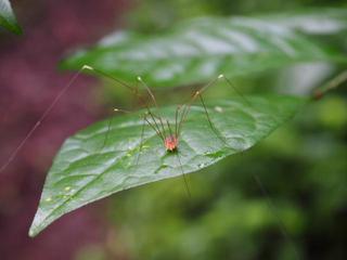 th_140706_03.jpg